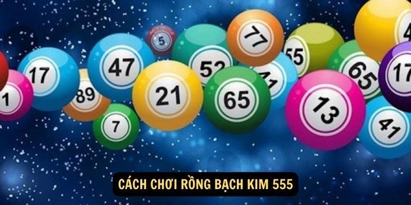 Rồng Bạch Kim 555: Bí Mật Lô Đề Bất Bại 6 Cách chơi Rồng Bạch Kim 555