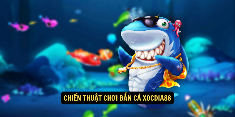 Bắn Cá xocdia88: Trò Chơi Giải Trí Hấp Dẫn Và Cơ Hội Kiếm Tiền Thực 3 Chiến thuật chơi Bắn Cá xocdia88