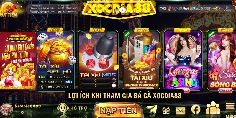 Đá Gà xocdia88: Hướng dẫn chơi và các chiến thuật chiến thắng 3 Lợi ích khi tham gia Đá Gà xocdia88